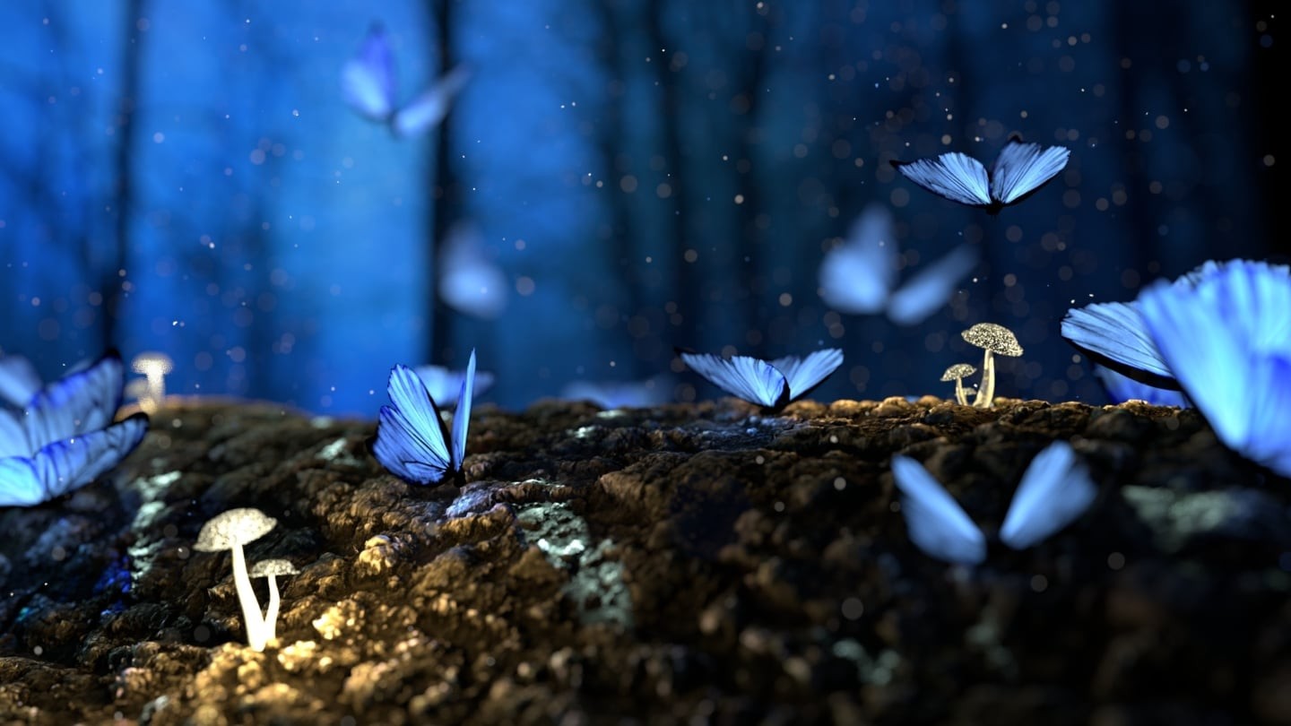 Blue butterflies resting and flying in a bluish light in a forest and above  a ground with white mushrooms.